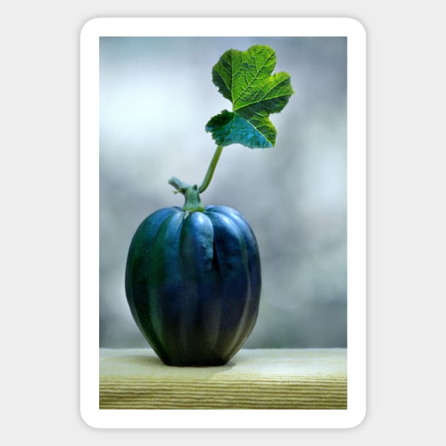 Acorn Squash with leaf Sticker by LaurieMinor